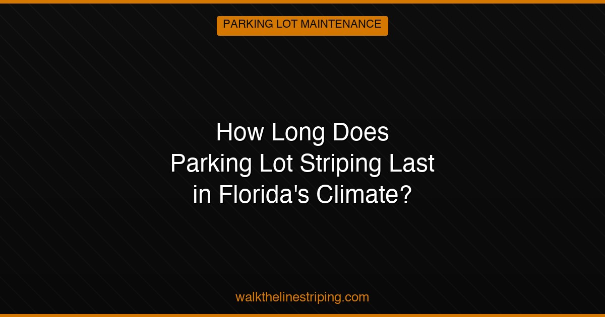 How Long Does Parking Lot Striping Last in Florida’s Climate?